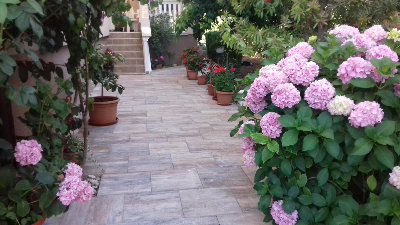 Apartments Filipovic Biograd Na Moru Eksteriør bilde