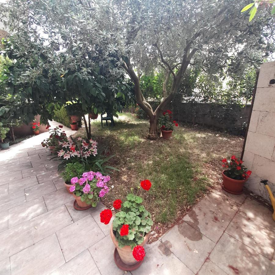 Apartments Filipovic Biograd Na Moru Eksteriør bilde